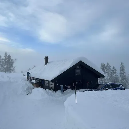 Sveheim - Cabin With An Amazing View Flå Exterior photo