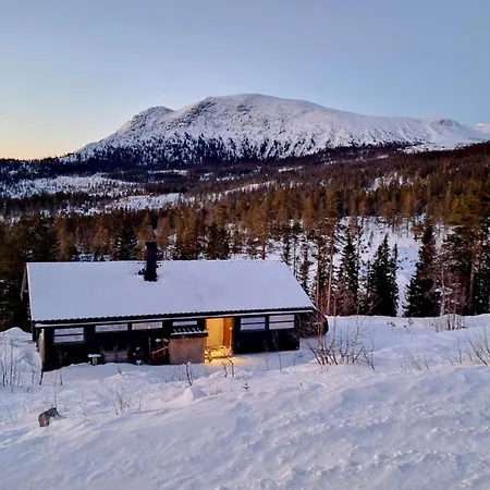 Sveheim - Cabin With An Amazing View Flå Exterior photo
