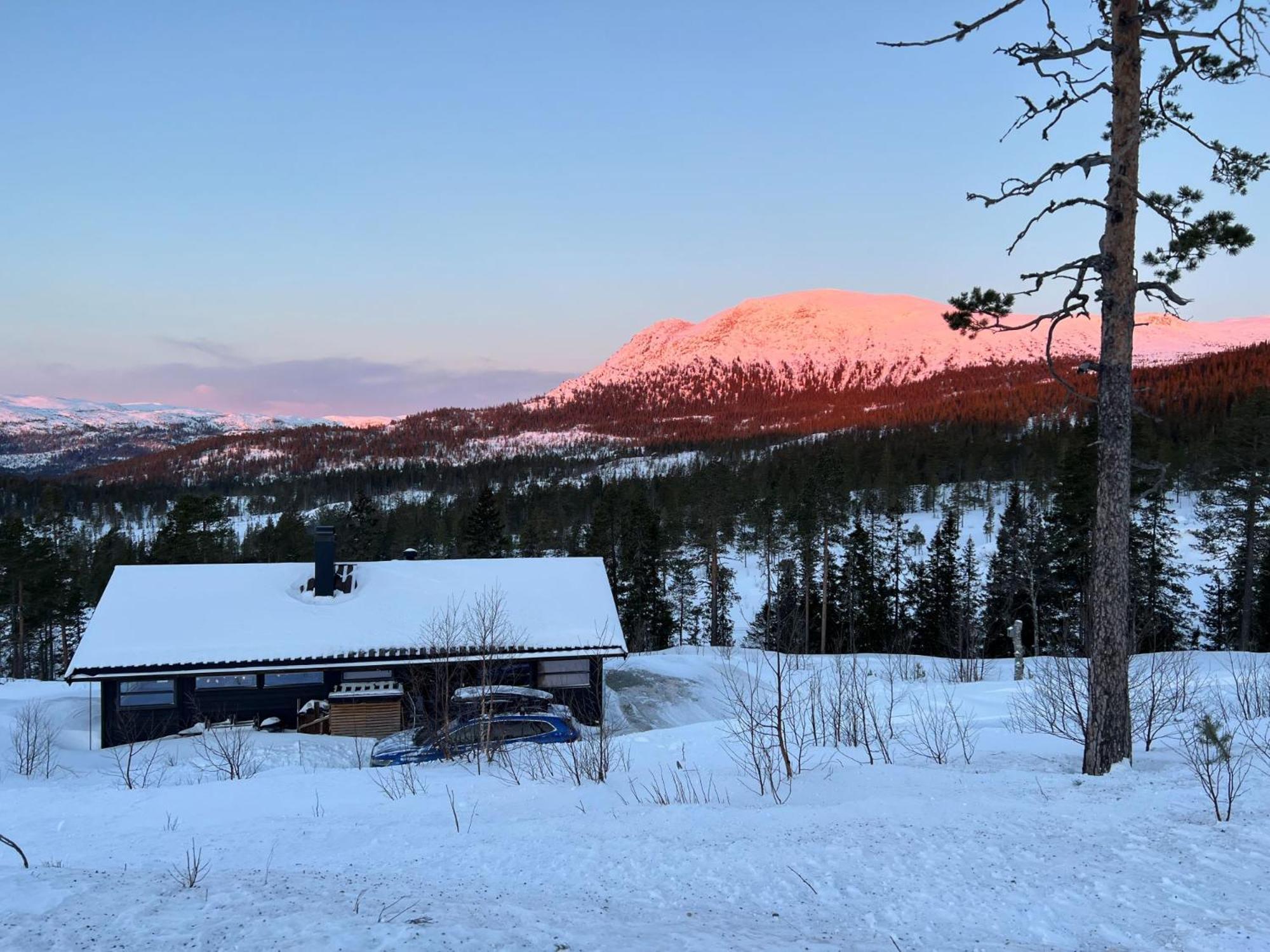 Sveheim - With An Amazing View Chalet Flå