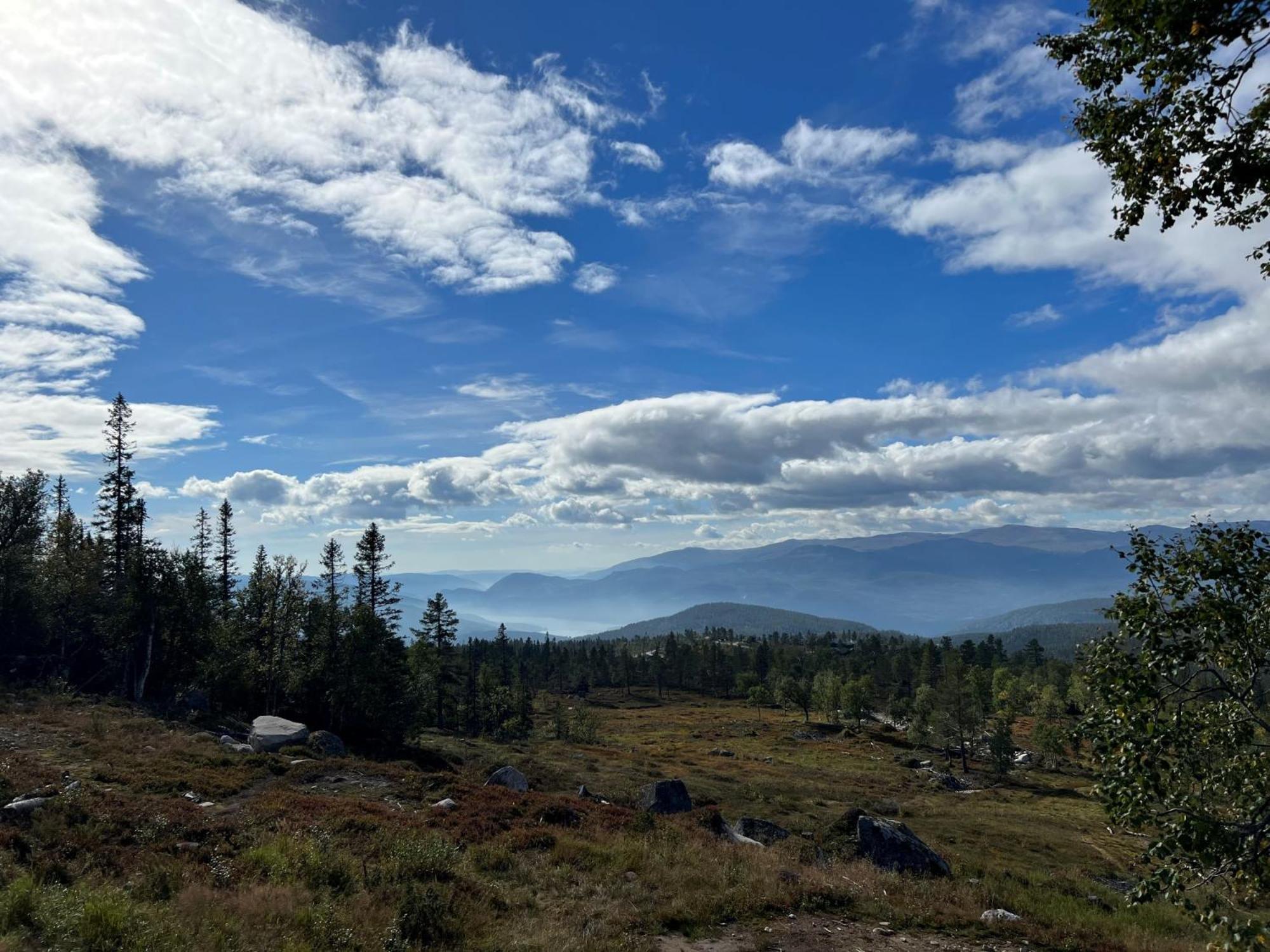 Sveheim - With An Amazing View Flå