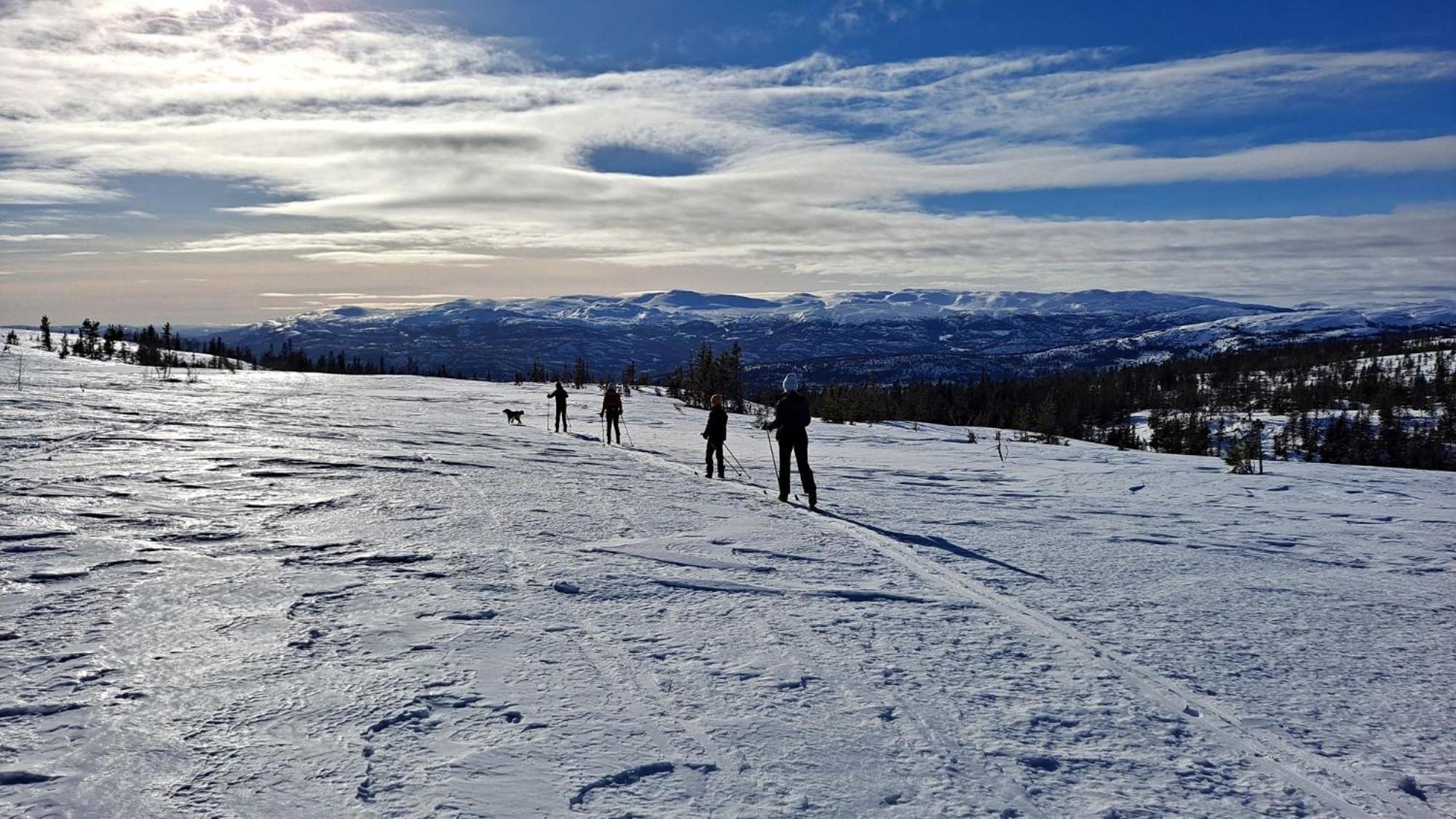 Sveheim - With An Amazing View * Flå