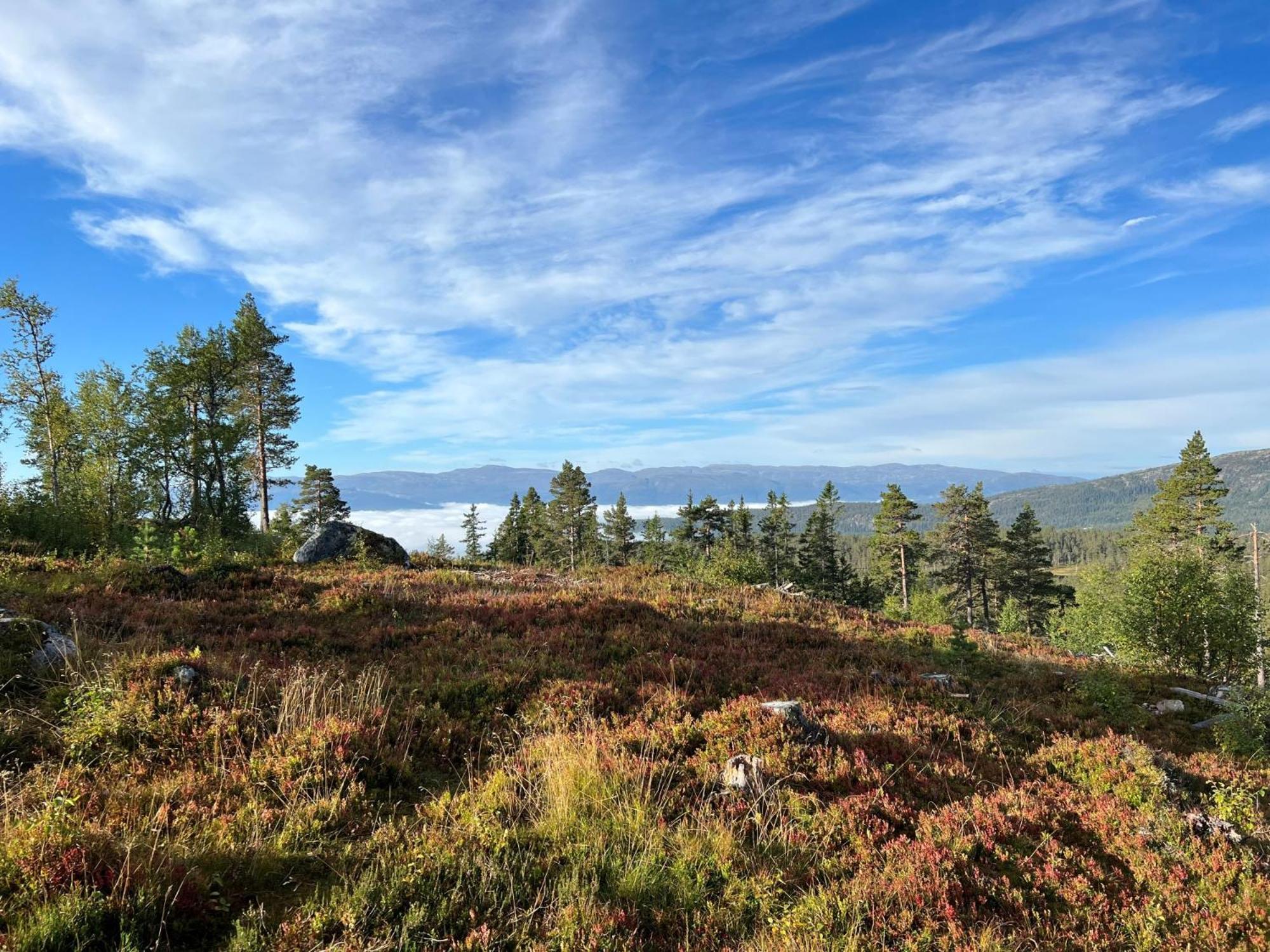 Sveheim - With An Amazing View *